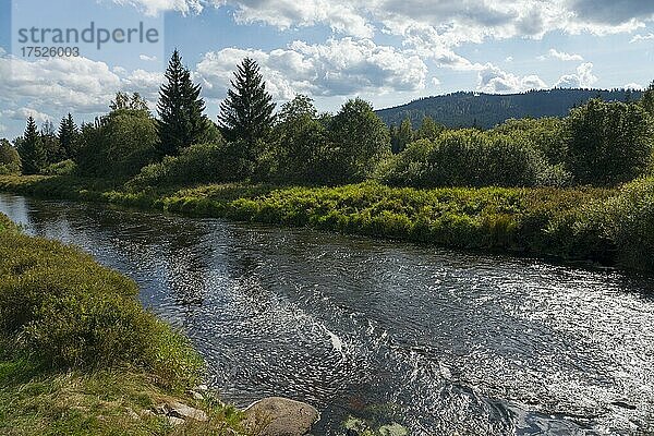 Moldau  Pekná  Schönau  Okres Prachatice  Region Jihoceský kraj  Böhmerwald  Südböhmen  Tschechien  Europa