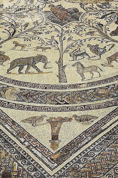 Mosaik im Haus des Orpheus  Voloubilis  Marokko  Afrika