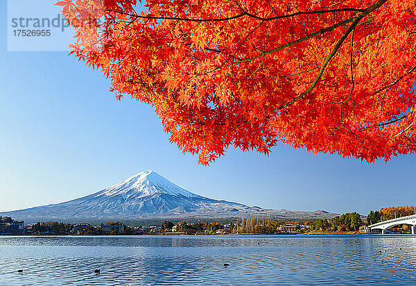 Herbstblätter am Kawaguchi-See und am Fuji