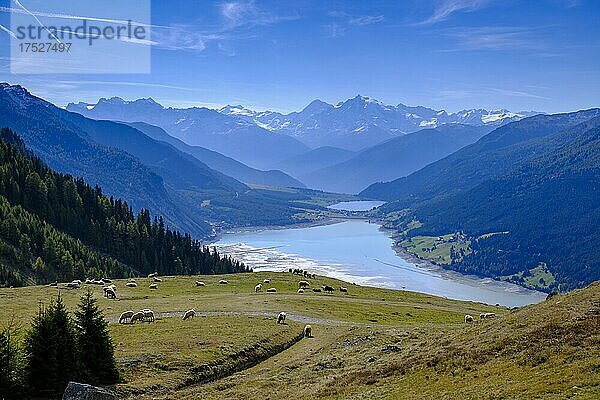 Aussichtspunkt auf Reschensee Reschenstausee und Ortlergruppe von der Hochebene Plamort  Reschen  Vinschgau  Südtirol  Italien  Europa