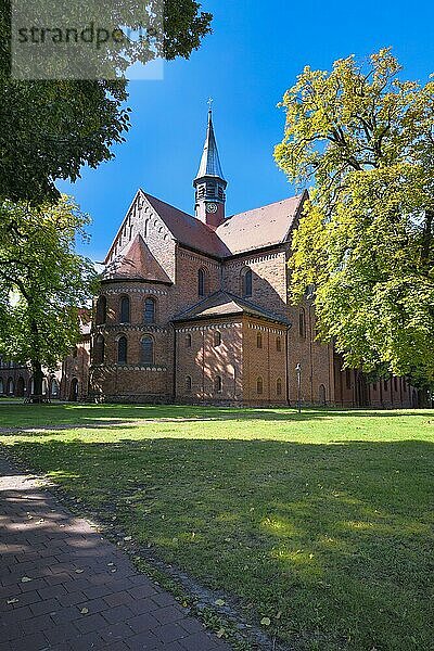 Ehemaliges Zisterzienserkloster Lehnin  gotische St. Marienkirche  Brandenburg  Deutschland  Europa