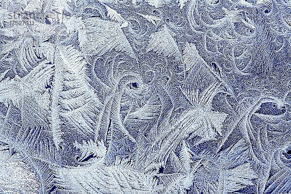 Frost  Muster  auf einem Winter  Fenster  USA  Nordamerika