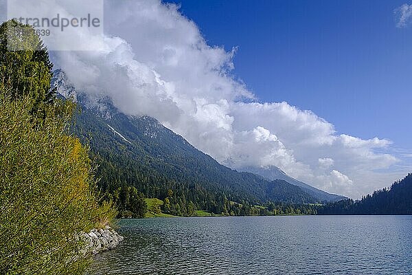 Hintersteiner See  bei Scheffau am Wilden Kaiser  Tirol  Österreich  Europa