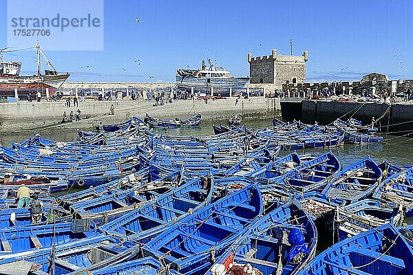 Typische blaue Fischerboote im Hafen von Essaouira  Marokko  Afrika