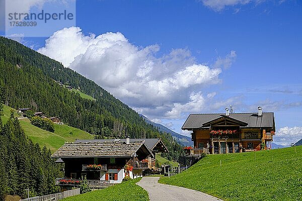 Bergbauernhöfe bei St. Gertraud  Ultental  Provinz Südtirol  Trentino-Südtirol  Italien  Europa