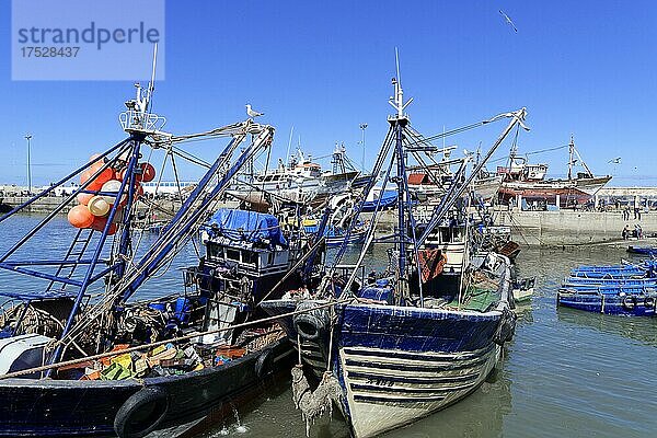 Fischkutter im Fischerhafen von Essaouira  Atlantikküste  Marokko  Afrika