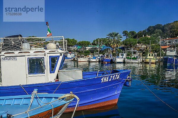 Fischerboote  Hafen  Ischia Porto  Insel Ischia  Italien  Europa