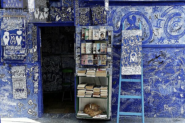 Kunstgeschäft  Altstadt  Asilah  Marokko  Afrika