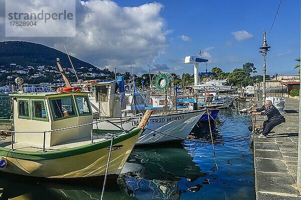 Fischerboote  Hafen  Ischia Porto  Ischia  Italien  Europa