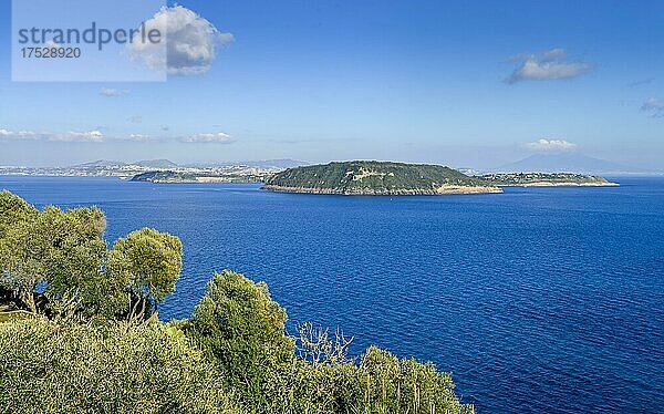 Inseln Vivara und Procida (hinten)  Italien  Europa