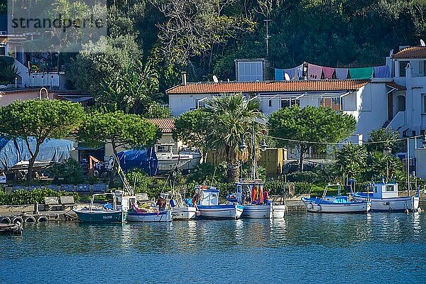 Fischerboote  Hafen  Ischia Porto  Insel Ischia  Italien  Europa