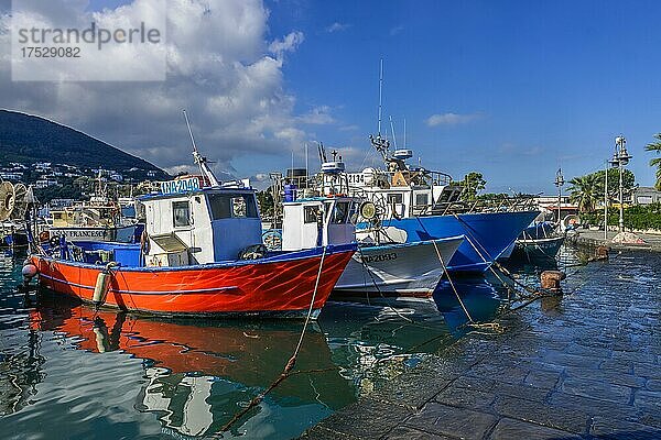 Fischerboote  Hafen  Ischia Porto  Insel Ischia  Italien  Europa