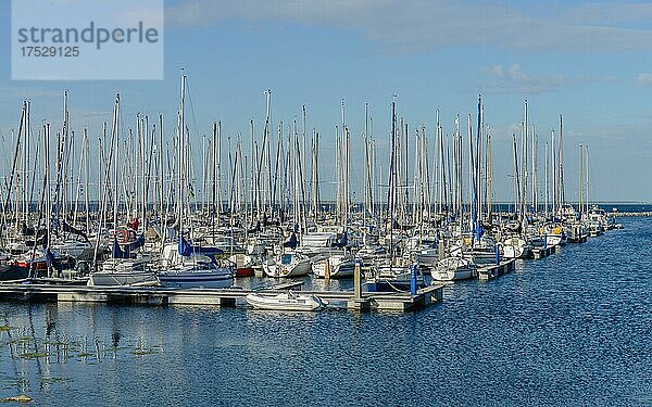 Marina Den Osse  Schouwen-Duiveland  Zeeland  Niederlande  Europa