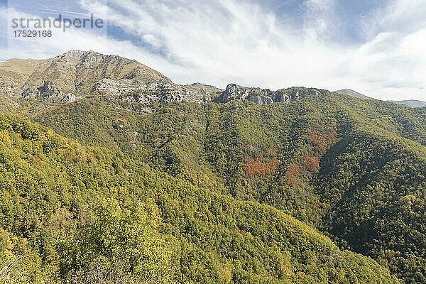 Herbst in den Ligurischen Alpen in der Nähe von Imperia  Ligurien  Italien  Europa