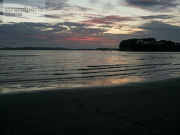 Morgenstimmung vor Sonnenaufgang am Strand Orewa beach  Orewa  Auckland Council  Neuseeland  Ozeanien