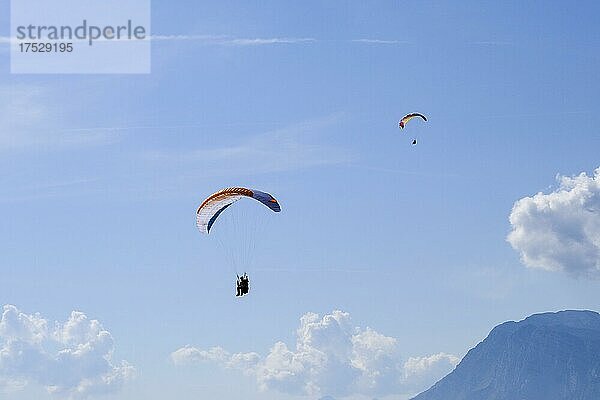 Zwei Gleitschirmflieger mit Start am Monte Valinis  Friaul  Italien  Europa