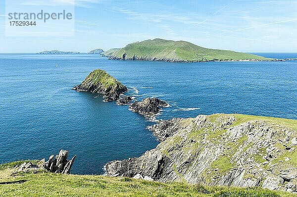 Küstenlandschaft mit Blasket-Inseln hinten  Dunmore Head  Daingean Uí Chúis  Slea Head Drive  Dingle-Halbinsel  County Kerry  Irland  Europa