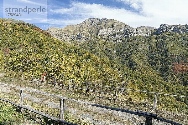 Herbst in den Ligurischen Alpen in der Nähe von Imperia  Ligurien  Italien  Europa