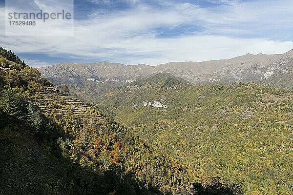 Herbst in den Ligurischen Alpen in der Nähe von Imperia  Ligurien  Italien  Europa