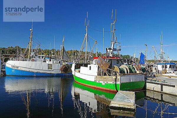 Fischerboote  Herbst  Grebbestad  Västra Götalands län  Schweden  Europa