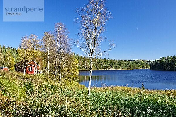 Kleine rote Hütte am Ufer eines Sees  Herbst  Oktober  Bullaren  Bohuslän  Schweden  Europa