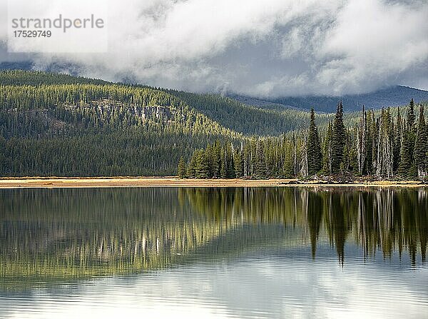 Landschaft mit Wald spiegelt sich im See  Sparks Lake  Oregon  USA  Nordamerika