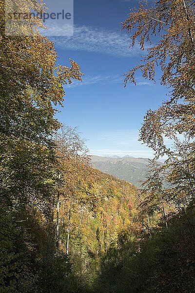 Herbst in den Ligurischen Alpen in der Nähe von Imperia  Ligurien  Italien  Europa