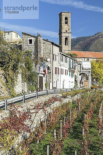 Kirche von Carpasio einem kleinen Bergdorf  Ligurien  Italien  Europa