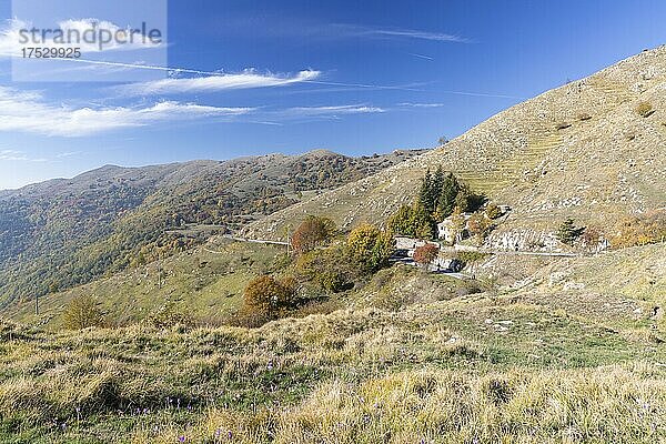 Herbst in den Ligurischen Alpen in der Nähe von Imperia  Ligurien  Italien  Europa