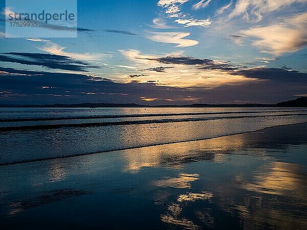 Morgenstimmung am Strand Orewa beach  Orewa  Auckland Council  Neuseeland  Ozeanien