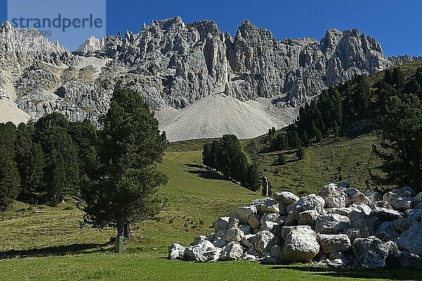 Latemargebirge  Dolomiten  Südtirol  Italien  Europa