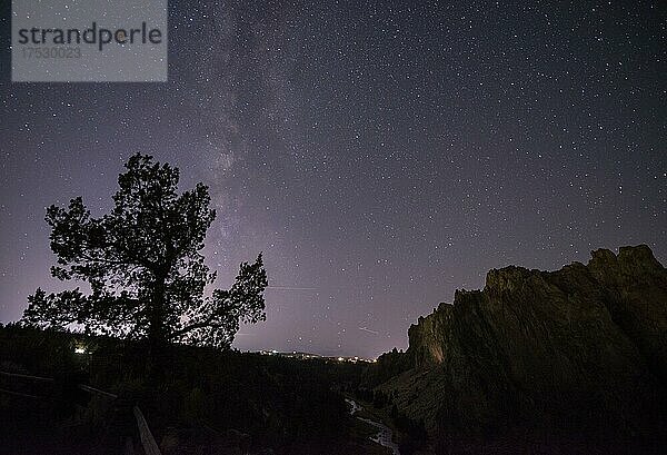 Nachthimmel  Sternenhimmel mit Milchstraße  Baum und Canyon  Smith Rock State Park  Oregon  USA  Nordamerika