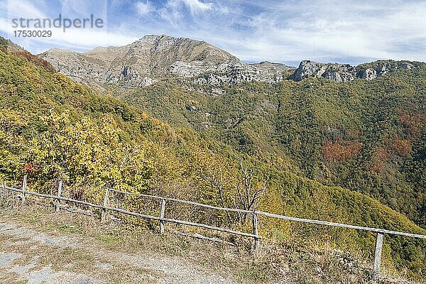 Herbst in den Ligurischen Alpen in der Nähe von Imperia  Ligurien  Italien  Europa