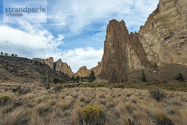 Spitze rote Felswände  Canyon mit Felsformationen  The Red Wall  Smith Rock State Park  Oregon  USA  Nordamerika