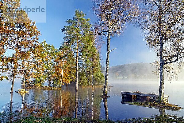 Überschwemmungen am Ufer eines Sees  Nebelschwaden über einem See  Herbst  Vasstoppen  Bullaren  Bohuslän  Schweden  Europa