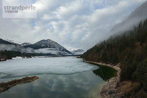 Morgennebel am Sylvensteinspeichersee  Fall  Lenggries  Bayern  Deutschland  Europa