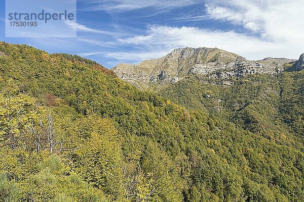 Herbst in den Ligurischen Alpen in der Nähe von Imperia  Ligurien  Italien  Europa