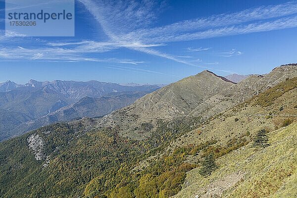 Herbst in den Ligurischen Alpen in der Nähe von Imperia  Ligurien  Italien  Europa