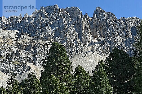 Latemar  Dolomiten  Südtirol  Italien  Europa