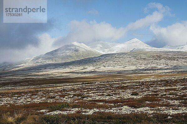 Herbstliche Landschaft  Fjäll  Rondane Nationalpark  Norwegen  Europa