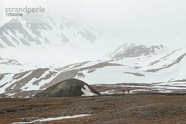 Zwei Radfahrer im Gelände  Ny Alesund  Spitzbergen  Norwegen  Europa