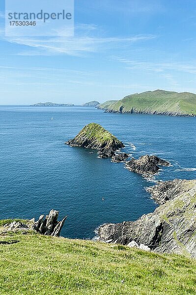 Küstenlandschaft mit Blasket-Inseln hinten  Dunmore Head  Daingean Uí Chúis  Slea Head Drive  Dingle-Halbinsel  County Kerry  Irland  Europa