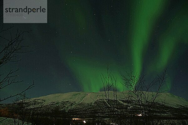 Polarlichter (Aurora borealis) über verschneiten Bergen  Abisko  Norrbottens län  Schweden  Europa