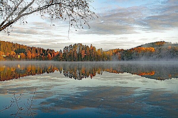 Nebel über einen See  Bäume spiegeln sich im ruhigen Wasser eines Sees  Vasstoppen  Bullaren Bohuslän  Schweden  Europa