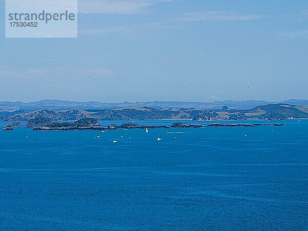 Segelboote in der Bay of Islands  Far North District  Northland  Nordinsel  Neuseeland  Ozeanien