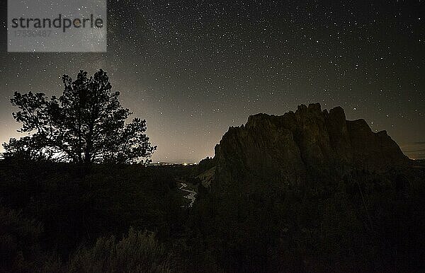 Baum und Canyon vor Nachthimmel  Sternenhimmel mit Milchstraße  Smith Rock State Park  Oregon  USA  Nordamerika