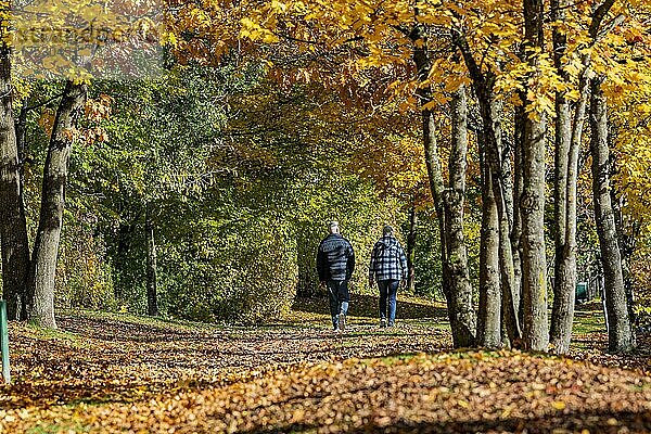 Spaziergänger  goldener Herbst in Markt Schwaben  Bayern  Deutschland  Europa