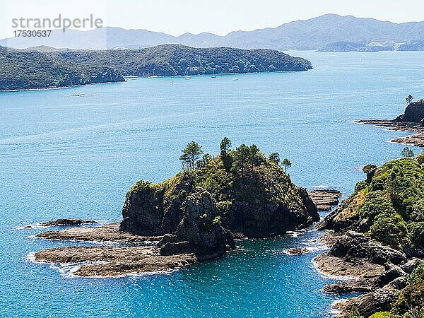 Küste der Bay of Islands  Far North District  Northland  Nordinsel  Neuseeland  Ozeanien