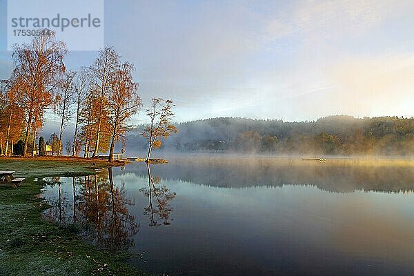 Erste Sonnenstrahlen an einem nebeligen Herbstmorgen an einem See  herbstlich  Vasstoppen  Bullaren Bohuslän  Schweden  Europa