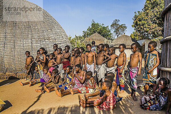 Kinder sehen interessiert zu bei traditionellen Bräuchen in echtem afrikanischen Dorf  Umphakatsi Chief